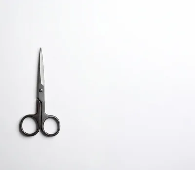Professional Metal Scissors Isolated On White Background