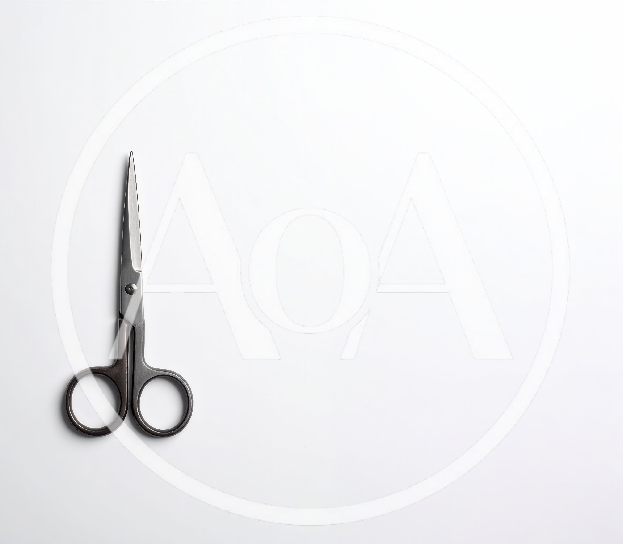 Professional Metal Scissors Isolated On White Background