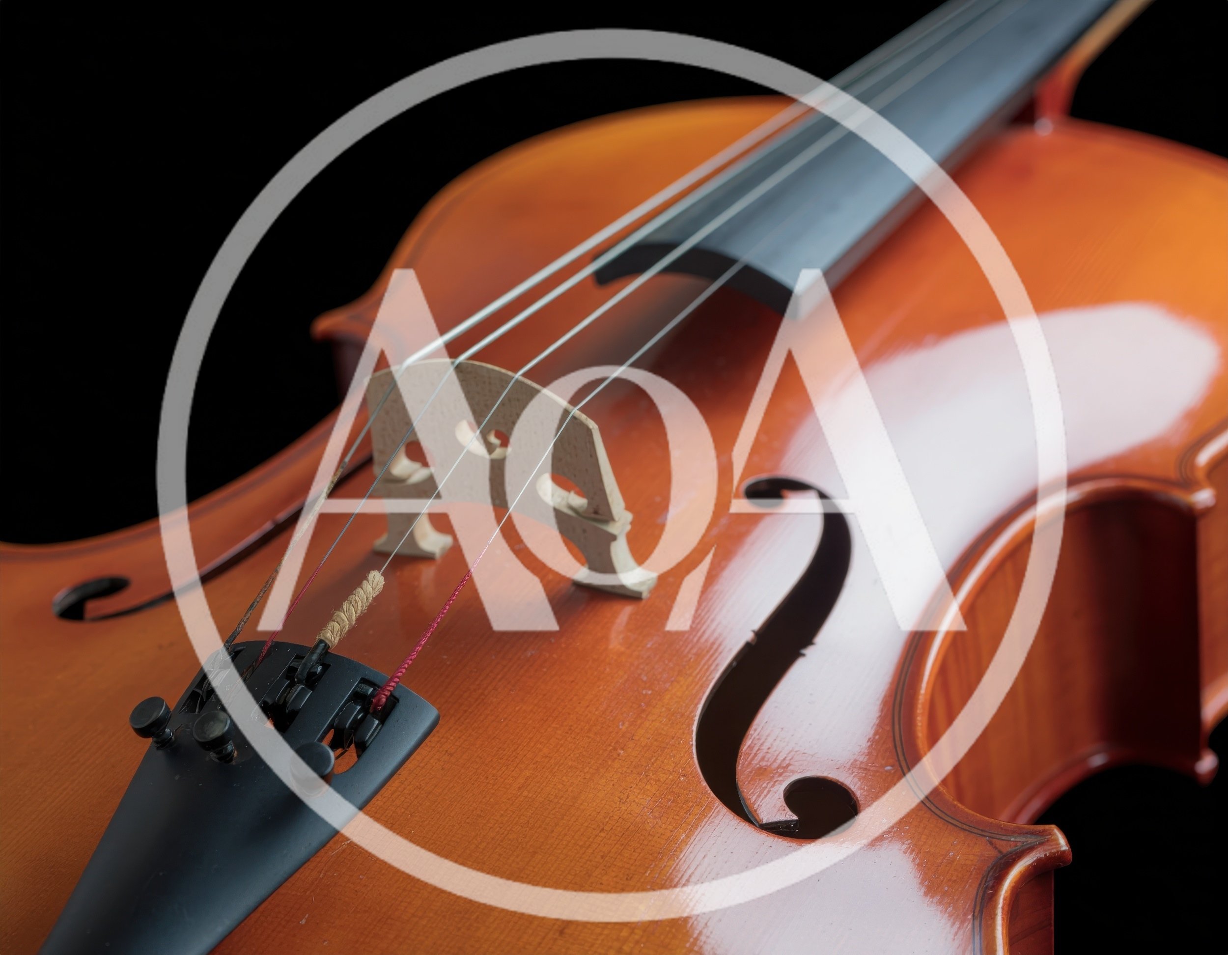 Close Up Of A Cello Bridge And Strings