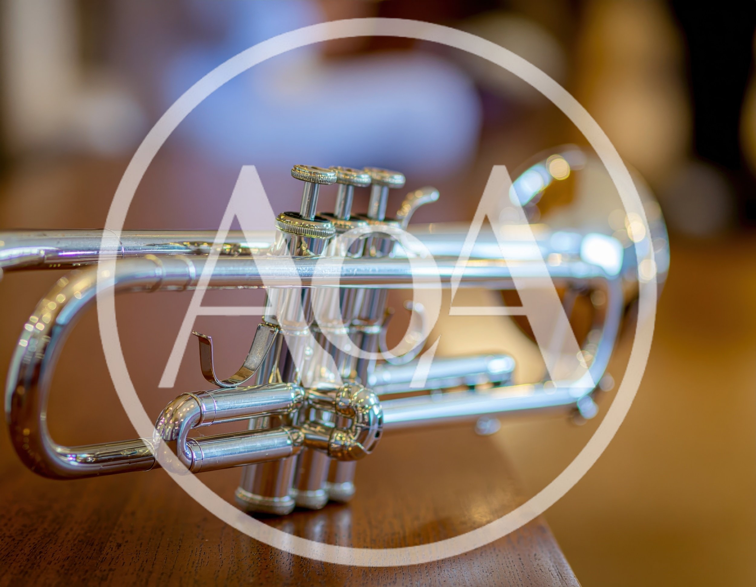 Silver Trumpet Resting On A Wooden Surface