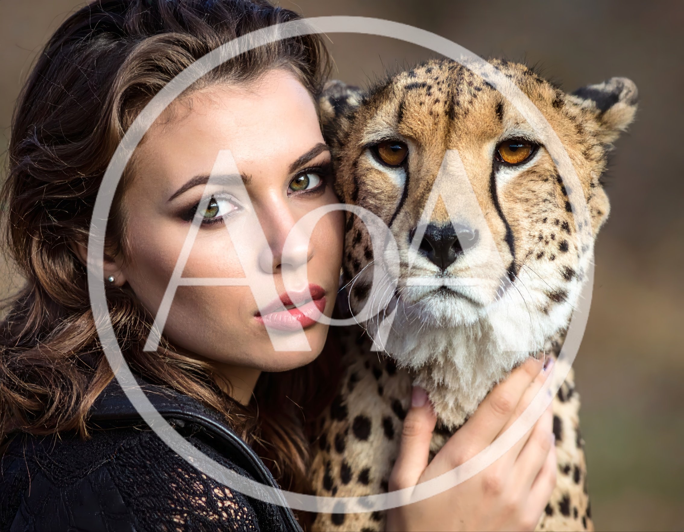 Beautiful Woman Embracing A Majestic Cheetah