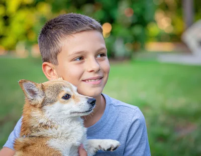 Young Boy Holding A Corgi Puppy Outdoors