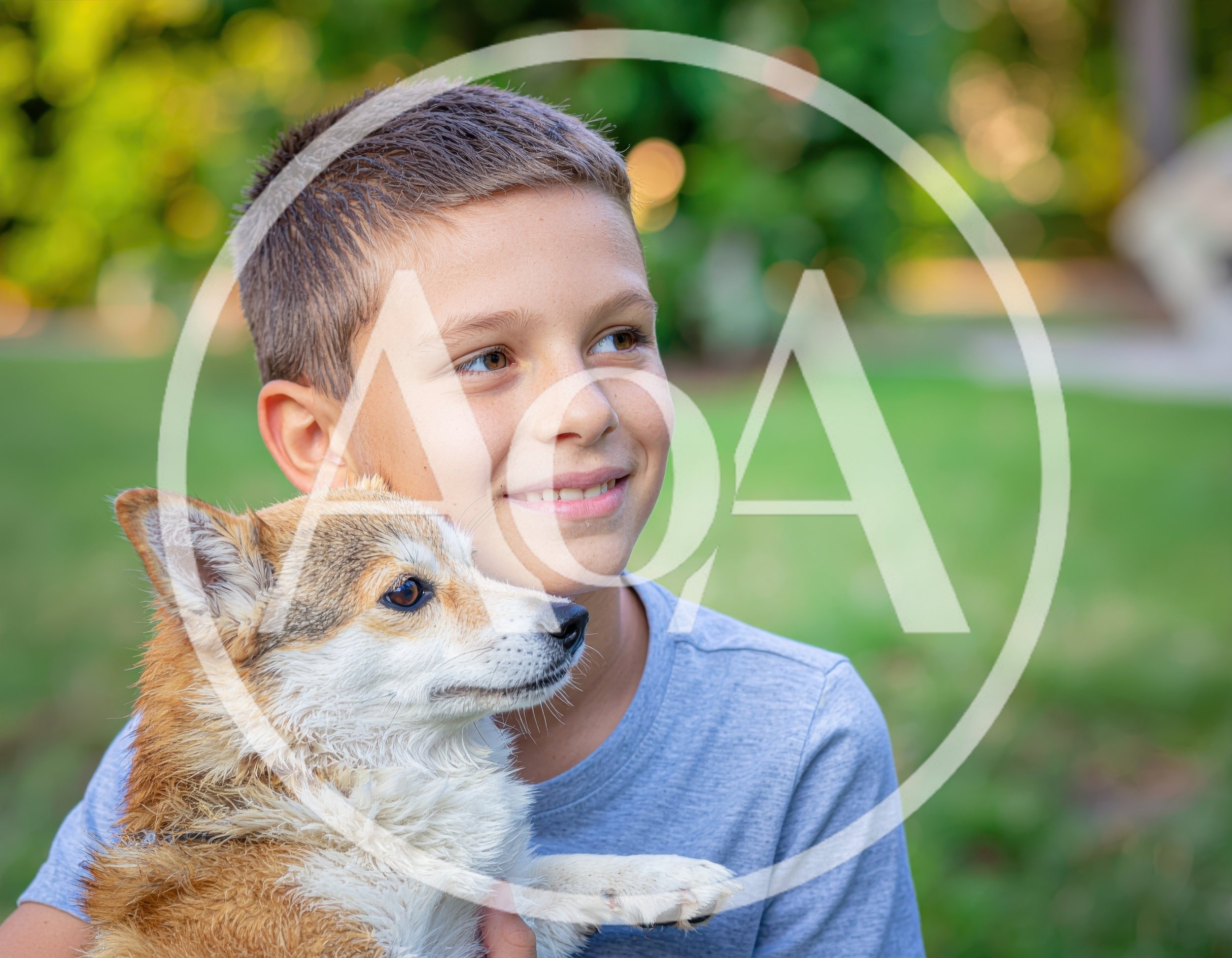 Young Boy Holding A Corgi Puppy Outdoors