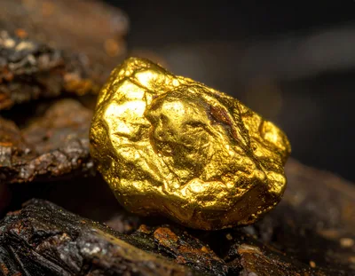 Macro Shot of a Raw Gold Nugget