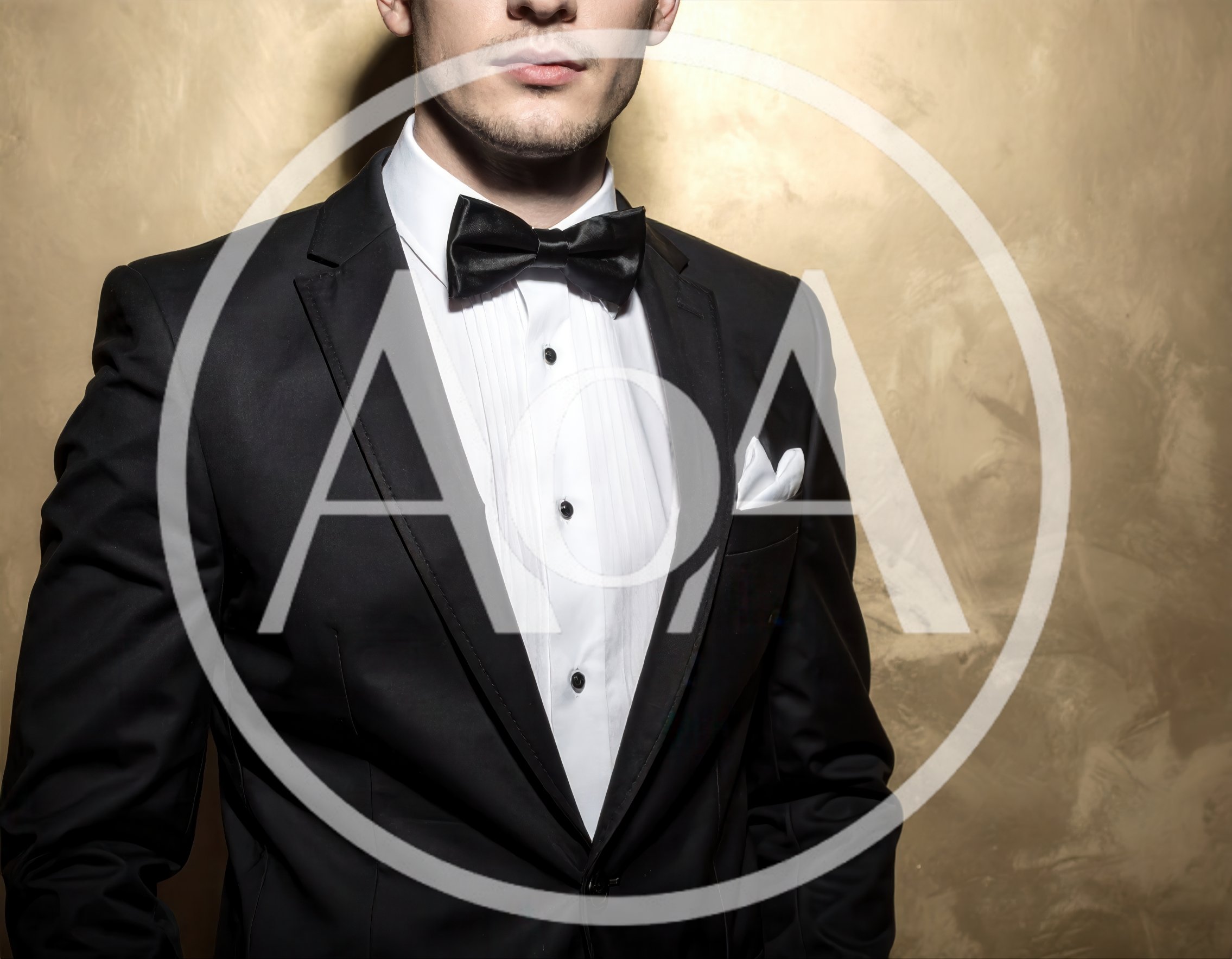 Elegant Man In Black Tuxedo And Bow Tie