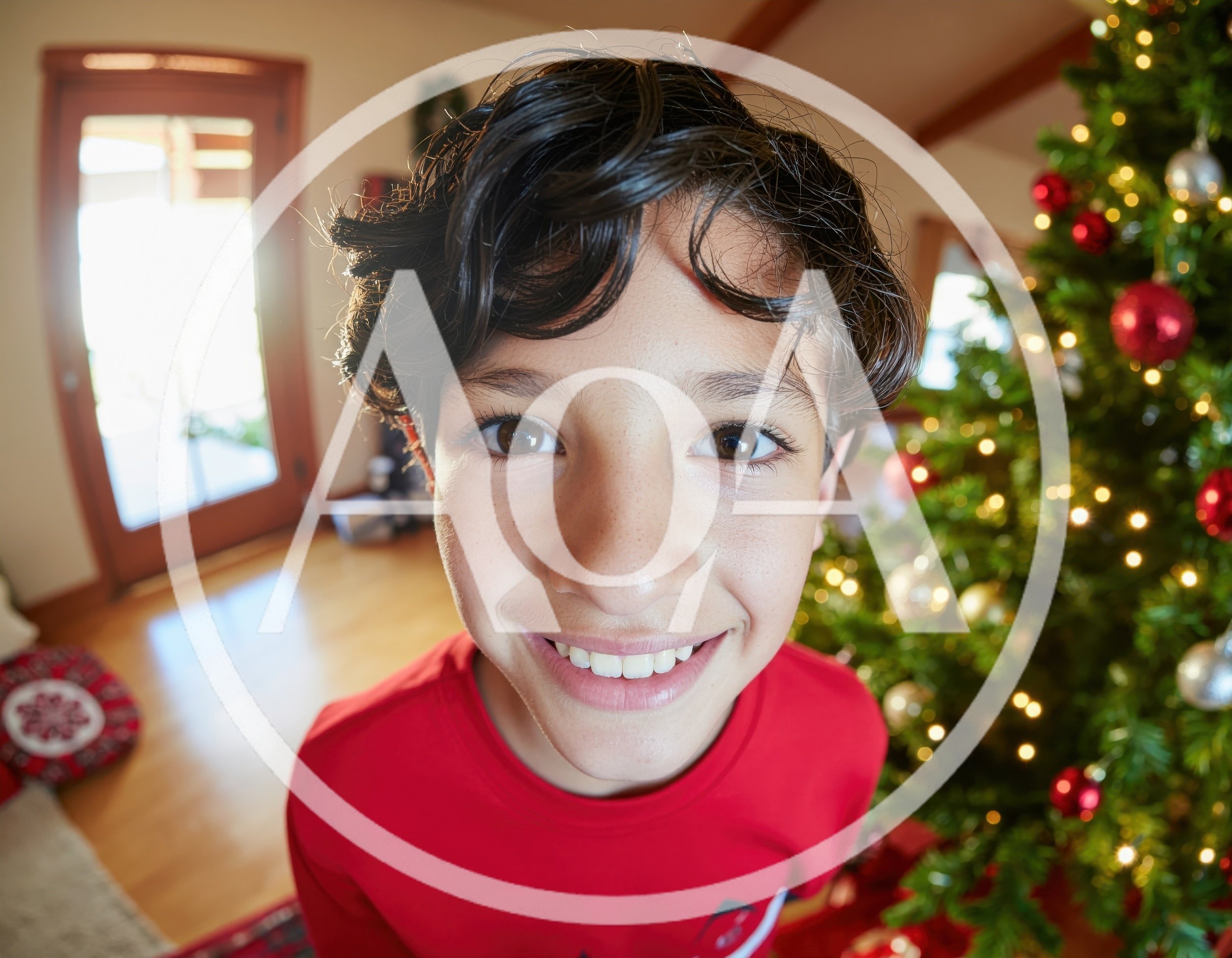 Young Boy Smiling Near Christmas Tree