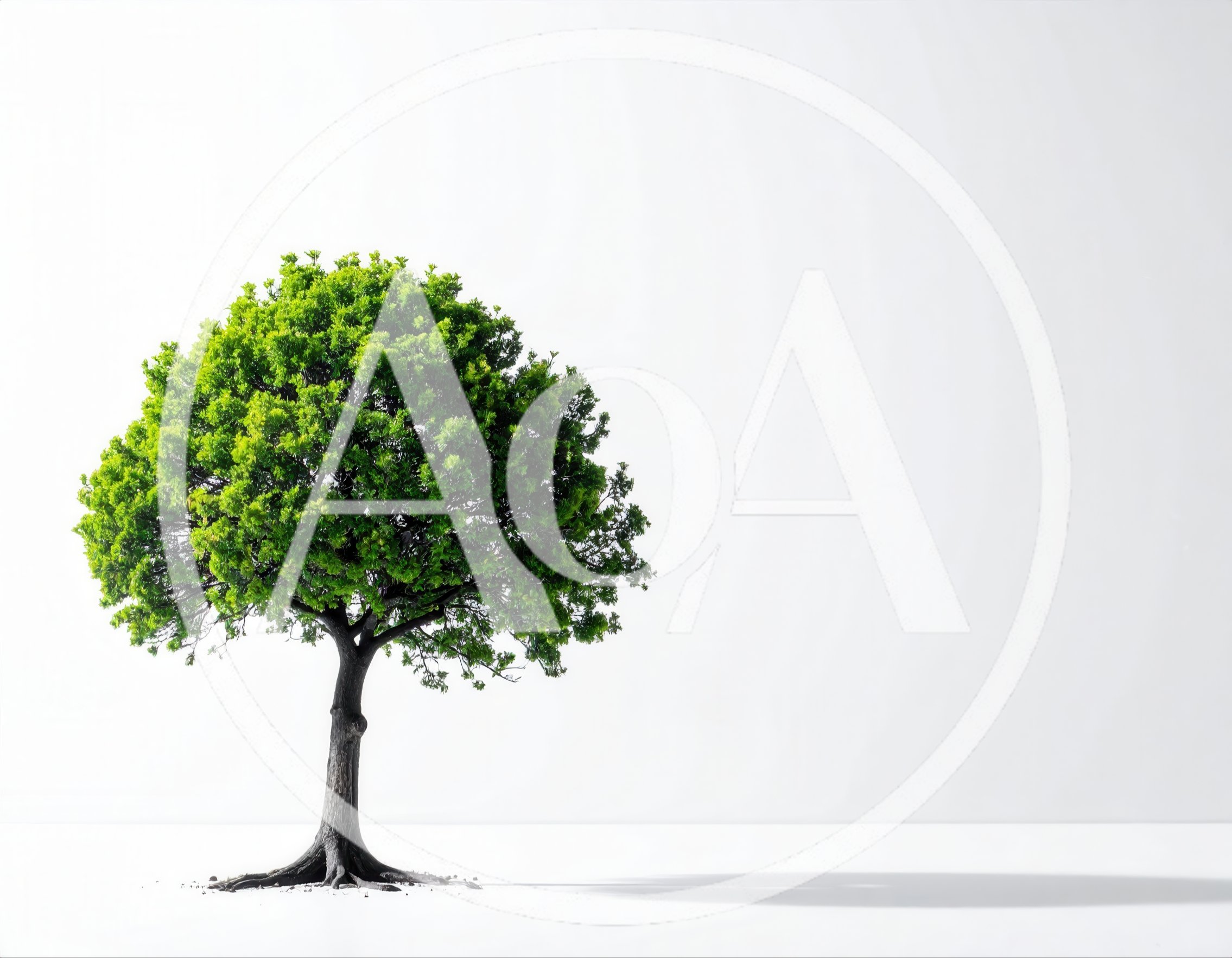 Single Green Tree Isolated On White Background