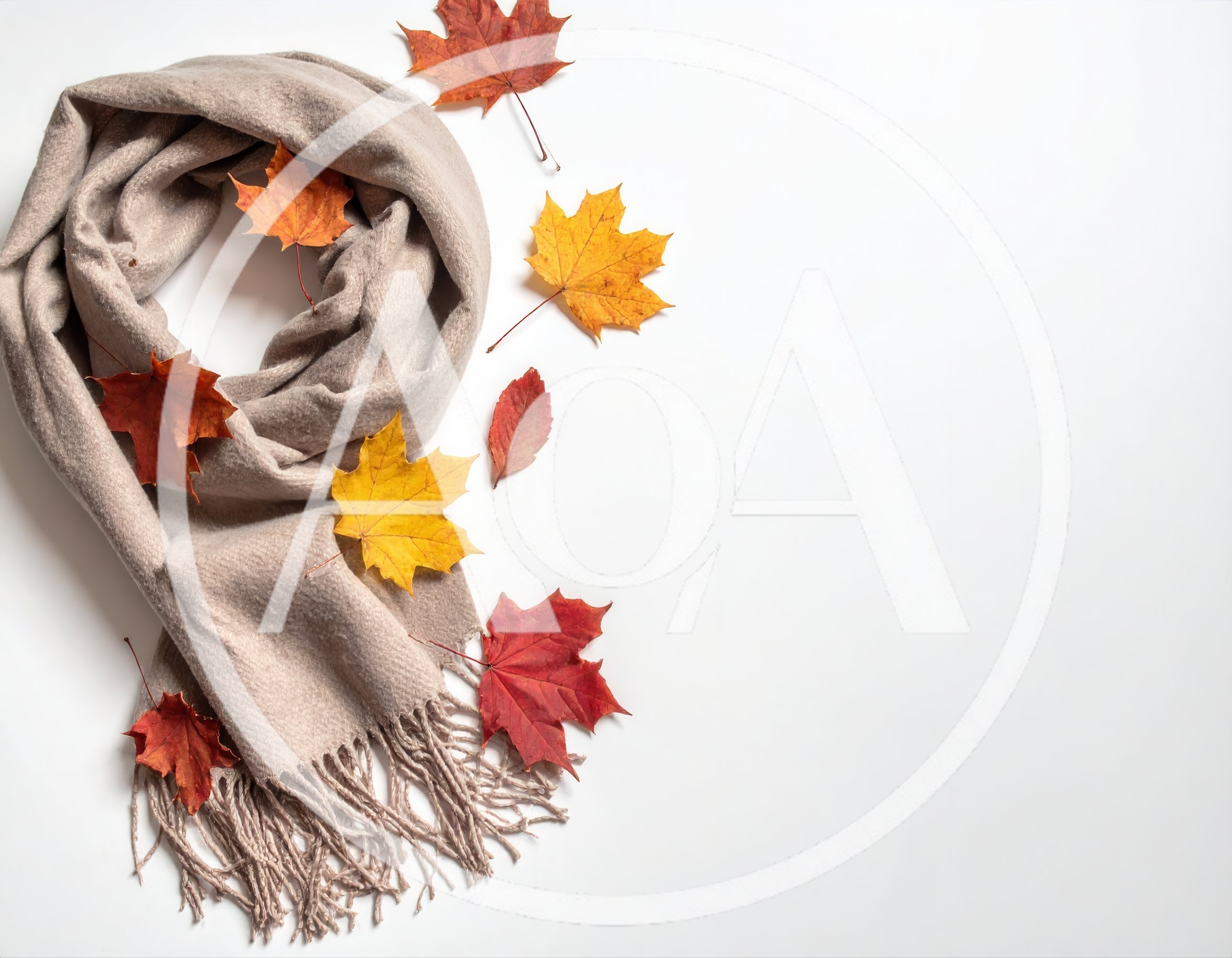 Beige Scarf With Autumn Leaves On White Background
