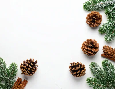 Christmas Pine Cones and Fir Branches on White Background