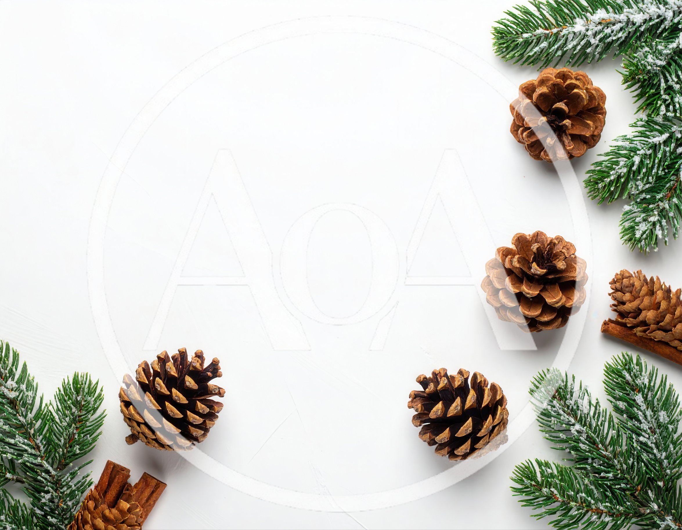 Christmas Pine Cones and Fir Branches on White Background