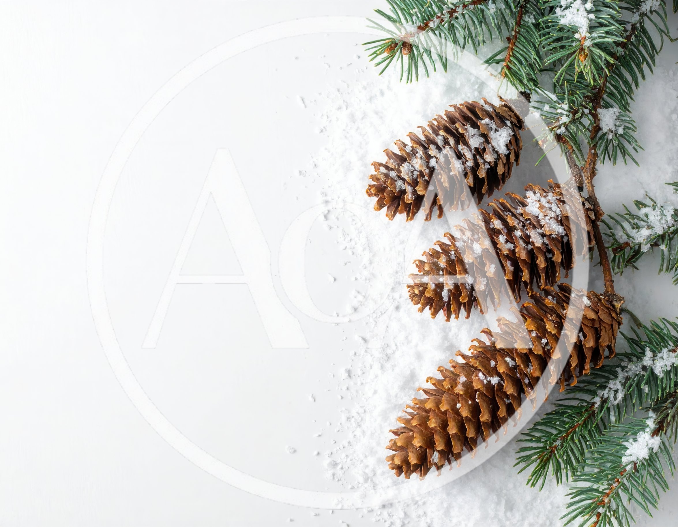 Pine Cones and Evergreen Branches on Snow