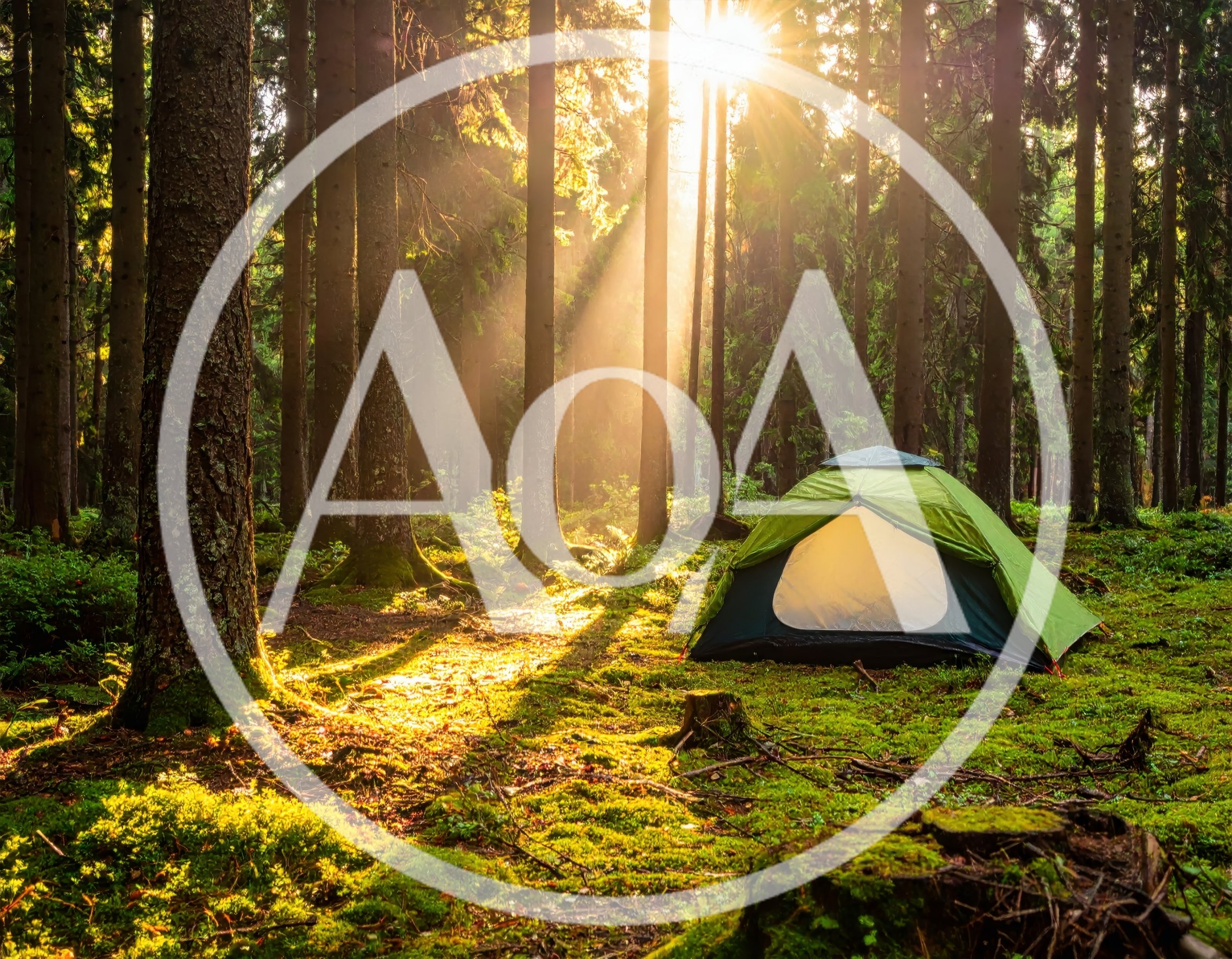 Green Camping Tent In A Sunlit Forest