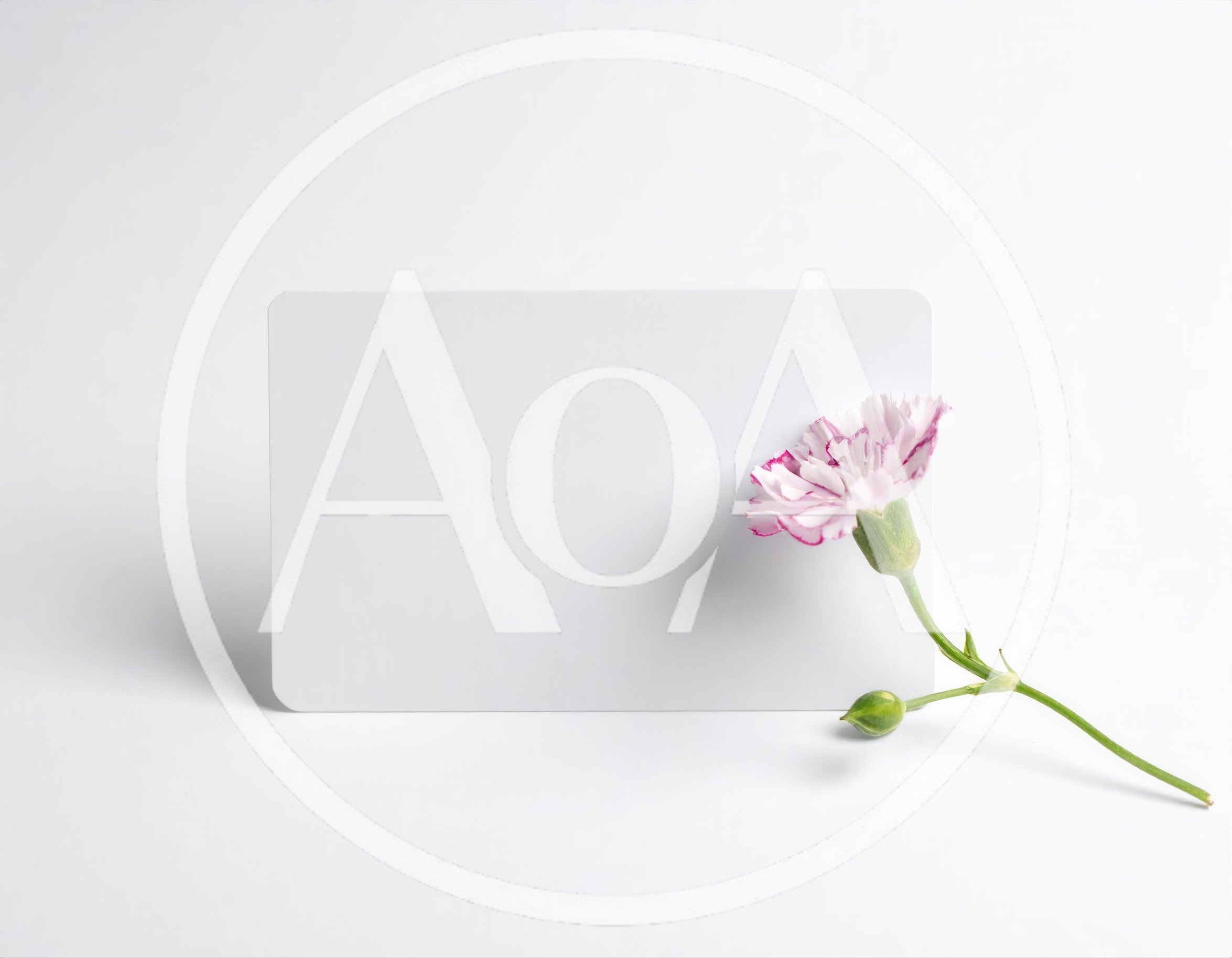 Blank White Card With A Pink Carnation Flower