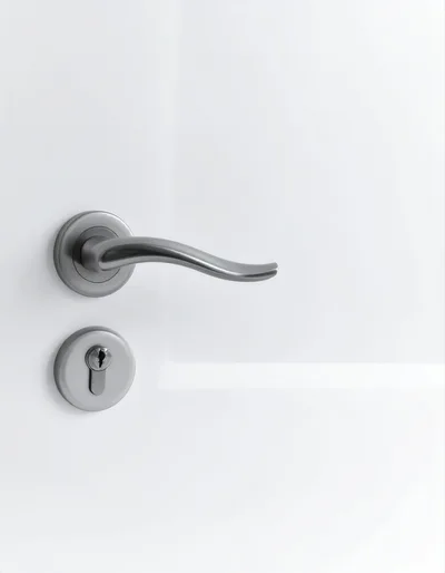 Modern Brushed Metal Door Handle On White Door