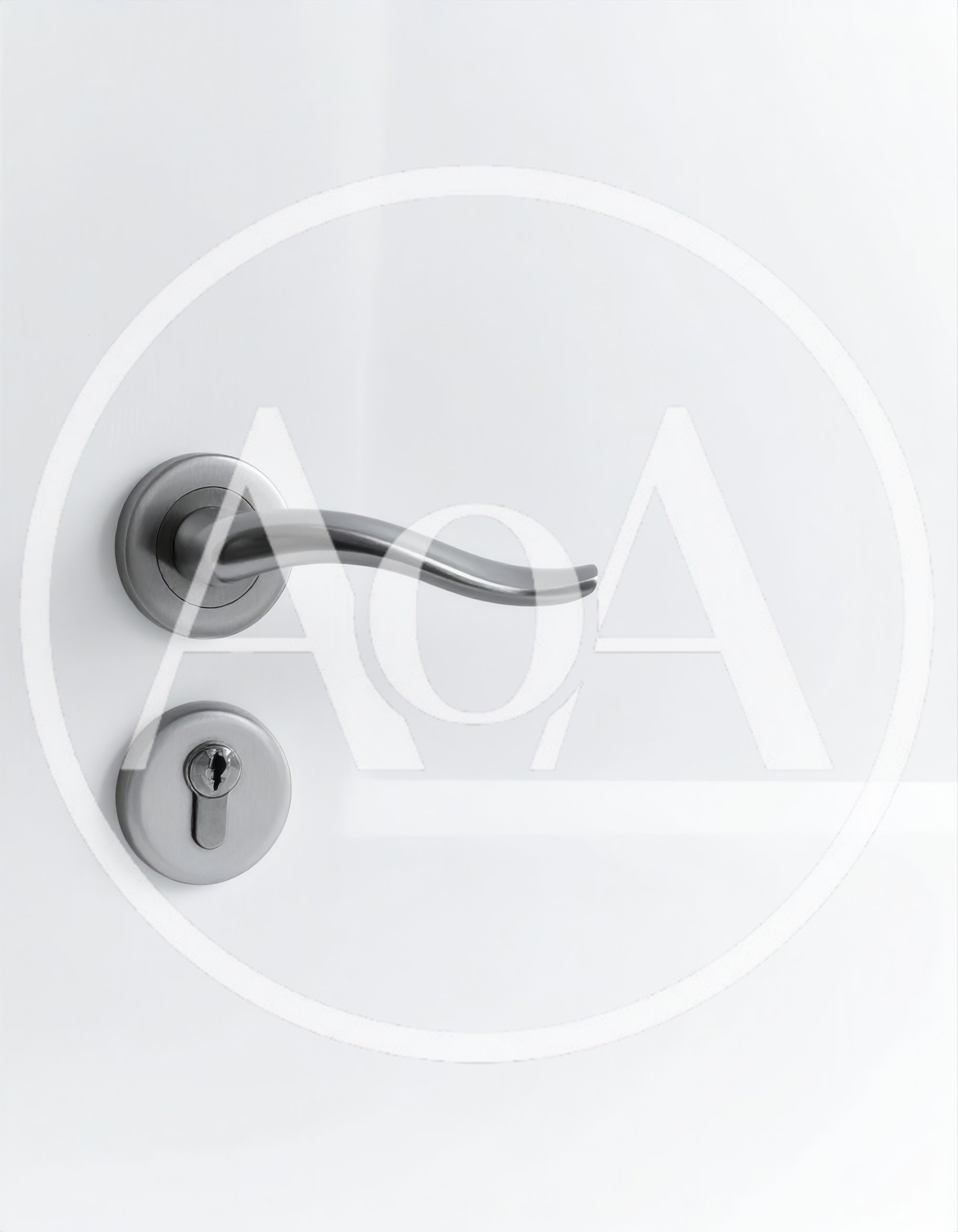 Modern Brushed Metal Door Handle On White Door