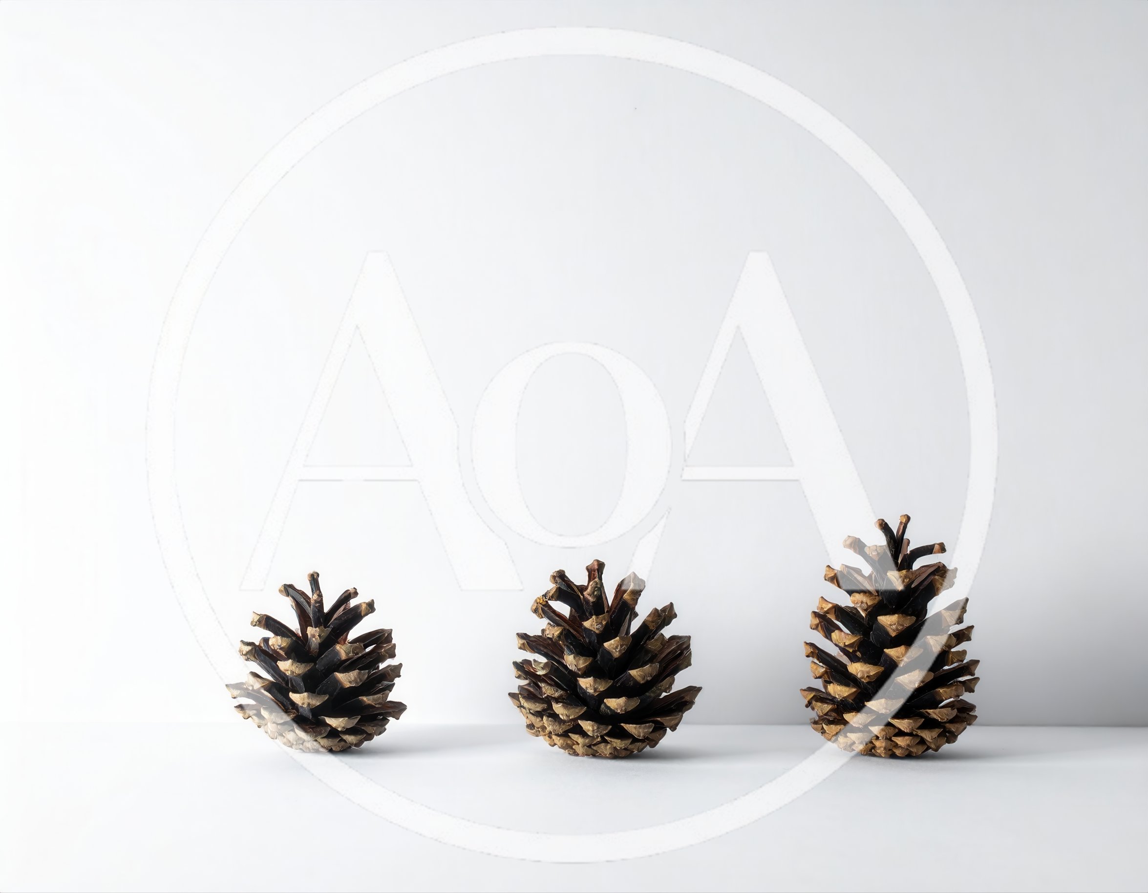 Three Pine Cones Arranged In A Row