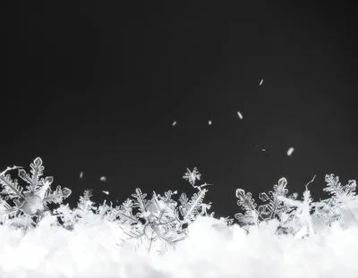 Macro Close Up Of Intricate Snowflakes On Snow