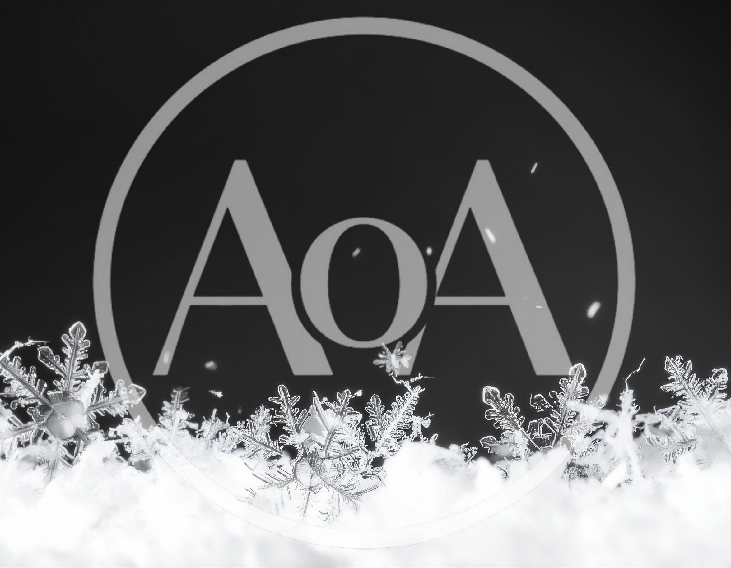 Macro Close Up Of Intricate Snowflakes On Snow