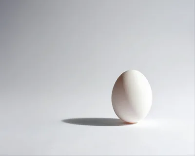 Single White Egg Standing Upright On White Surface