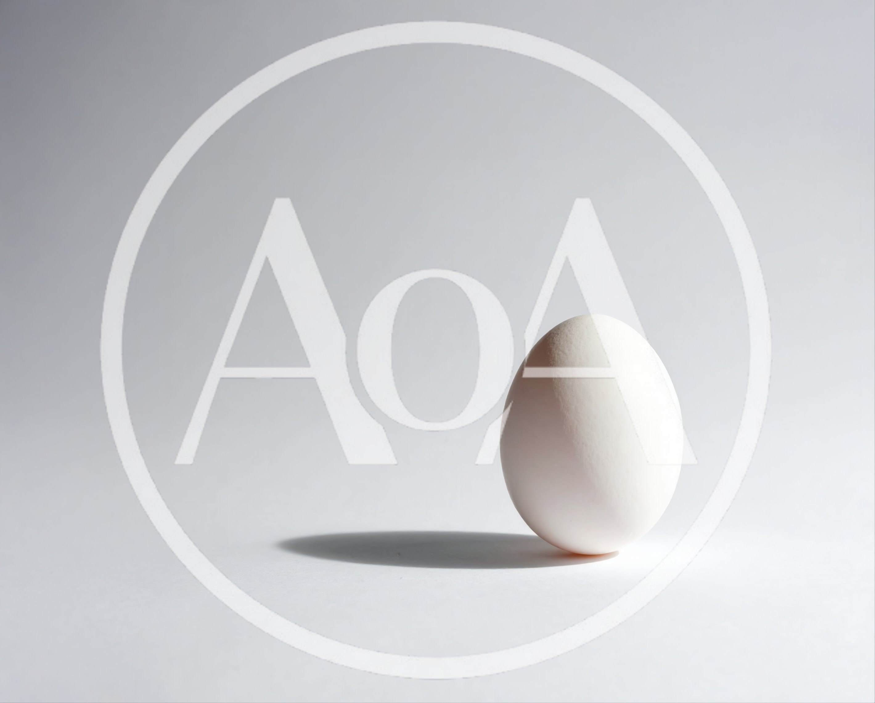Single White Egg Standing Upright On White Surface