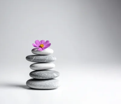 Stacked Smooth Gray Stones With A Pink Flower