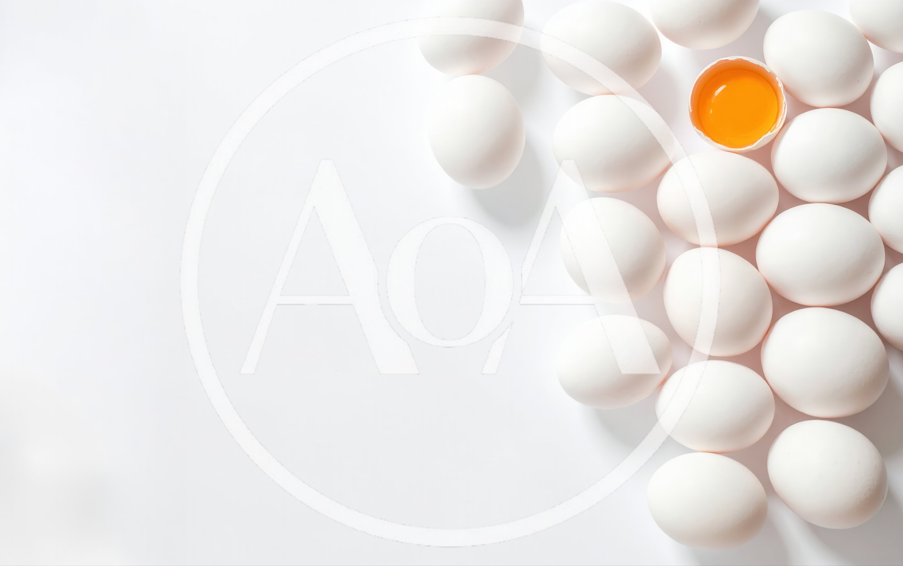 Group of White Chicken Eggs with One Cracked Egg