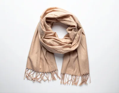 Beige Pashmina Scarf With Fringed Edges