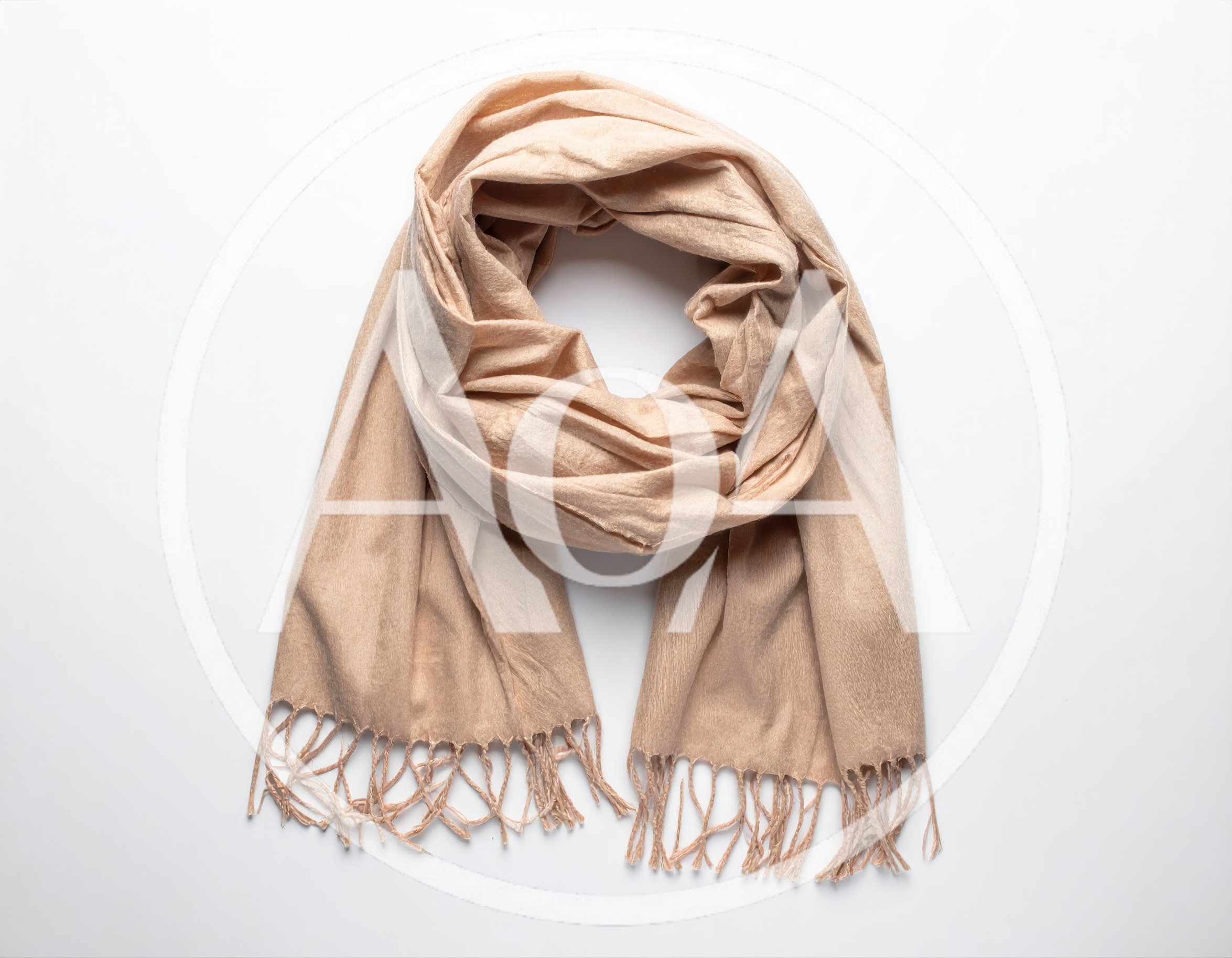 Beige Pashmina Scarf With Fringed Edges