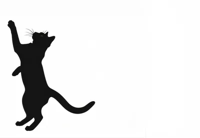 Silhouette Of A Black Cat Reaching Upwards