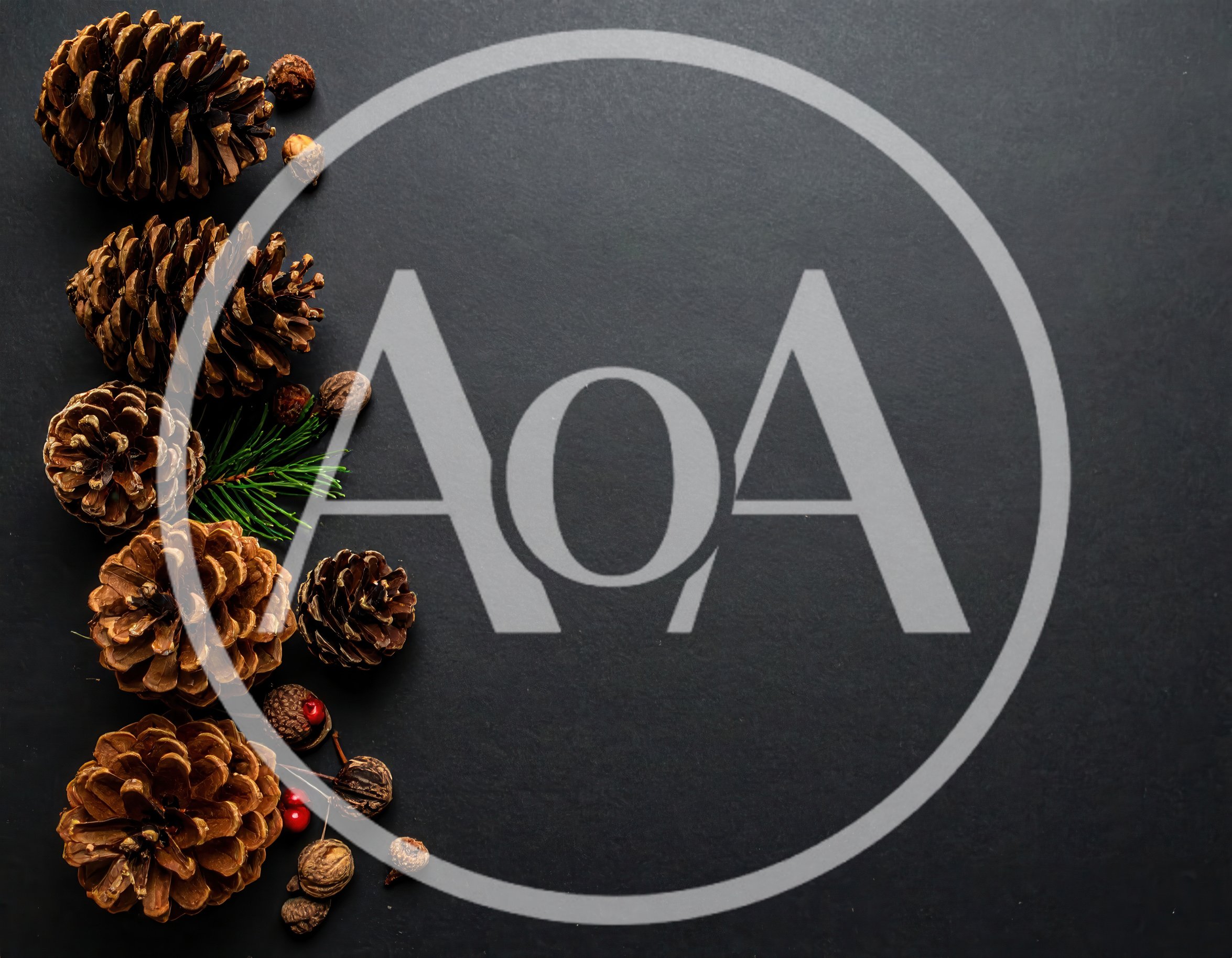Pine Cones and Acorns on Black Background