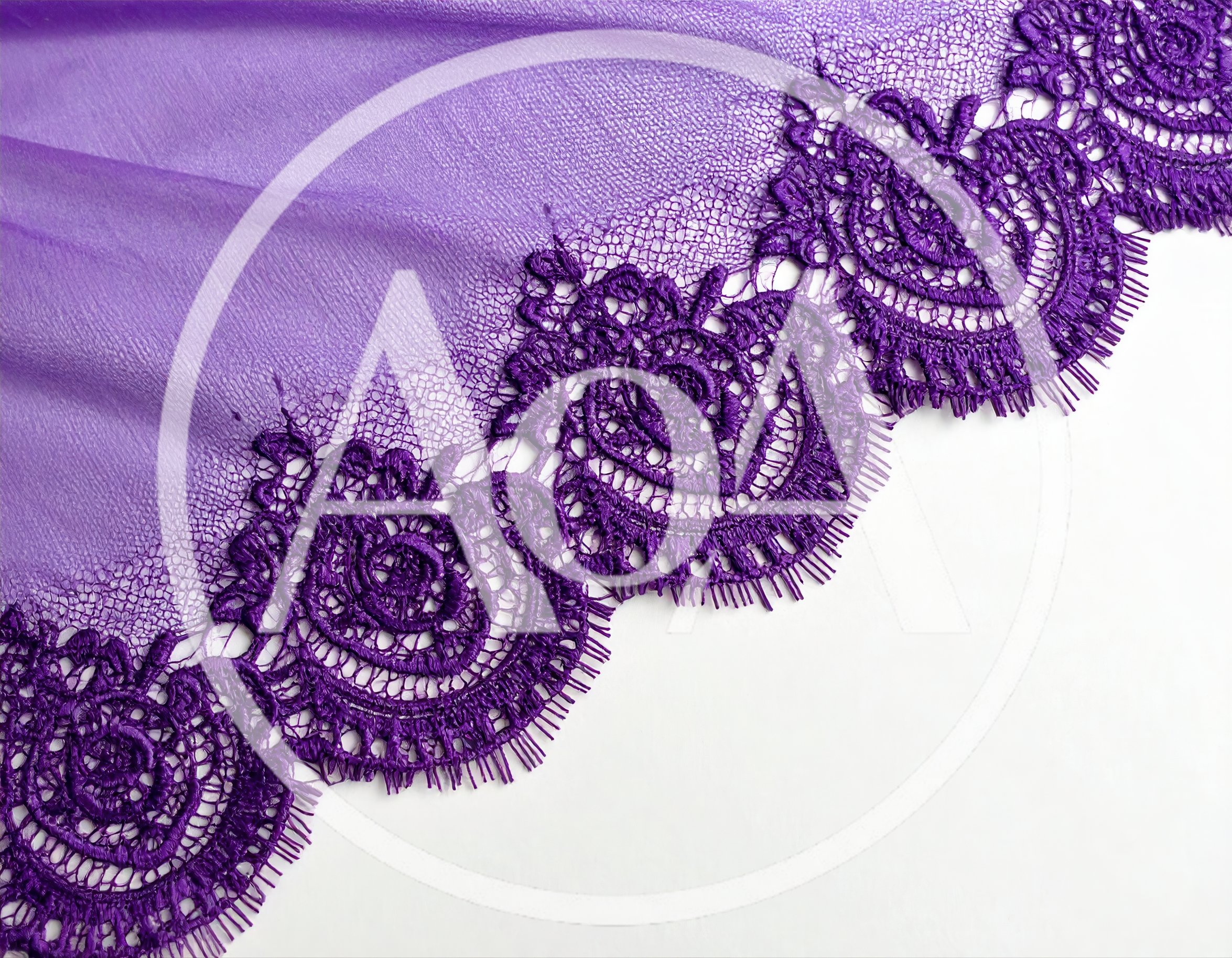 Purple Lace Trim on Sheer Fabric