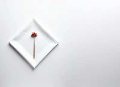 Minimalist Dried Flower Stem on White Napkin