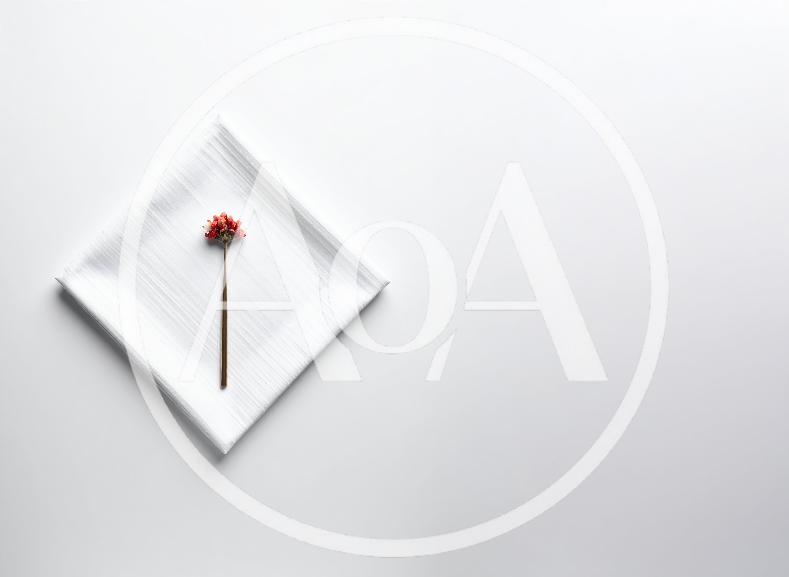 Minimalist Dried Flower Stem on White Napkin