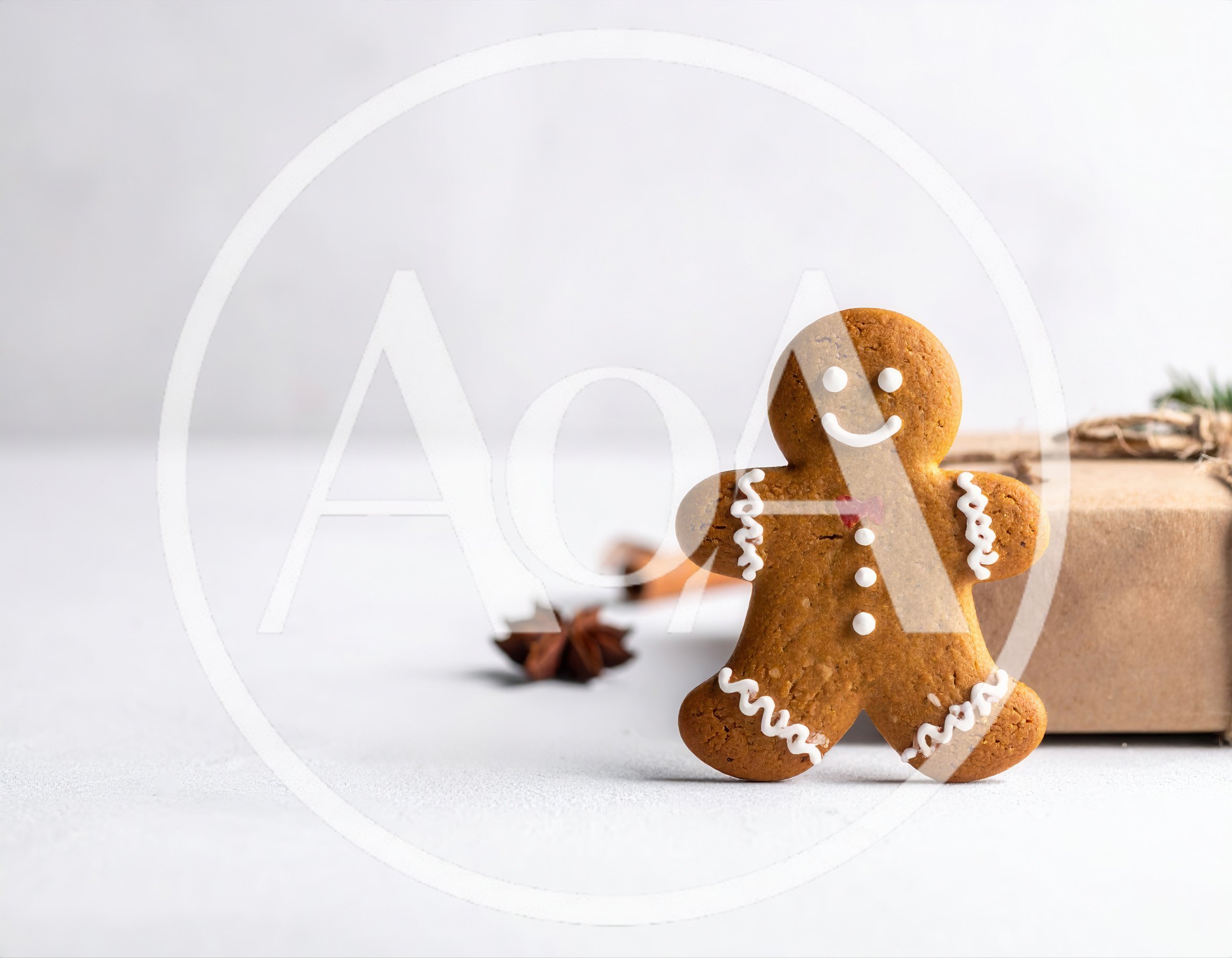 Gingerbread Man Cookie With Gift Box