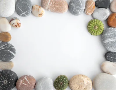 Frame Of Sea Stones And Sea Urchins