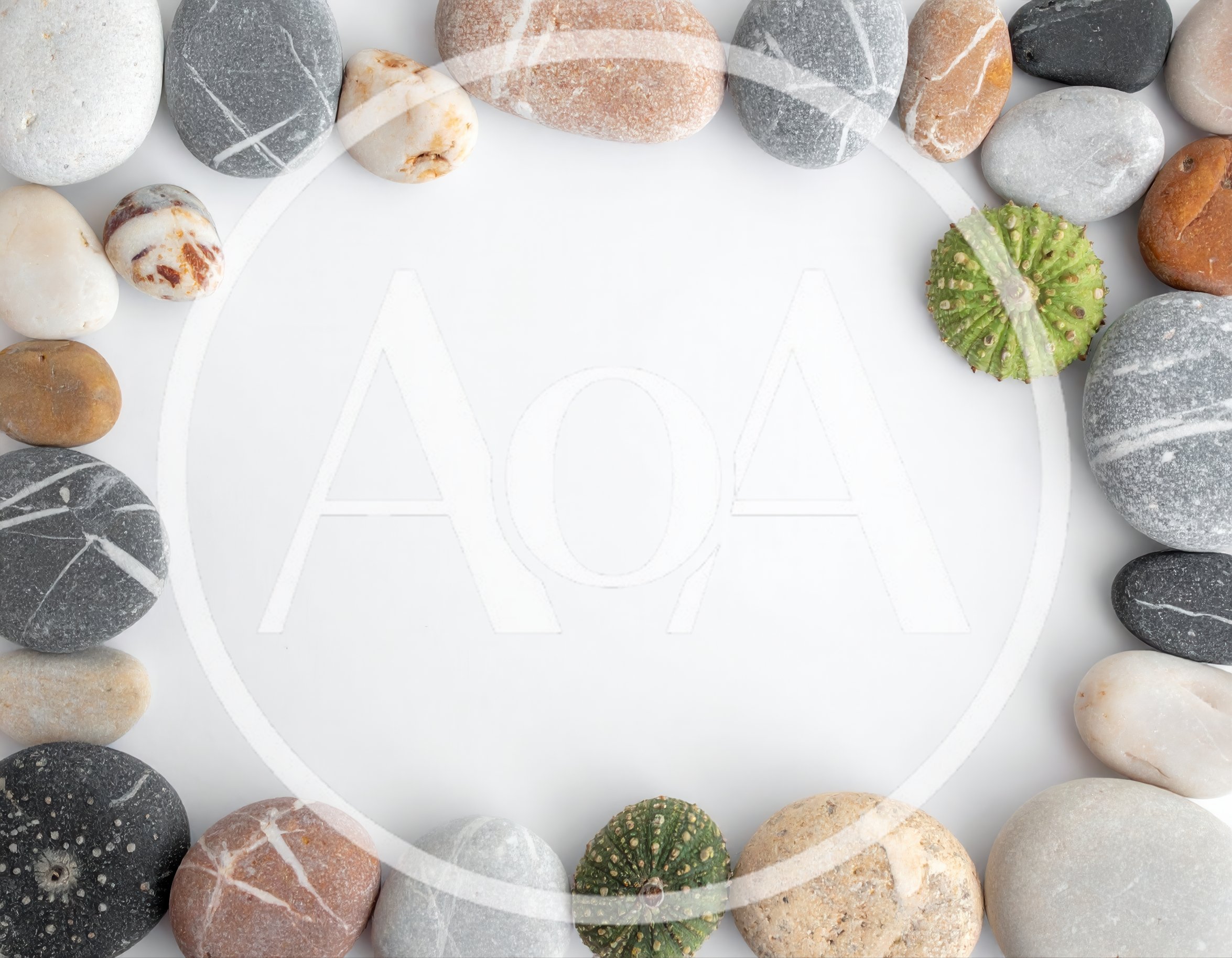 Frame Of Sea Stones And Sea Urchins
