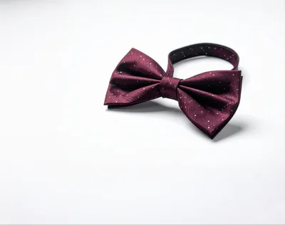 Burgundy Polka Dot Bow Tie on White Background