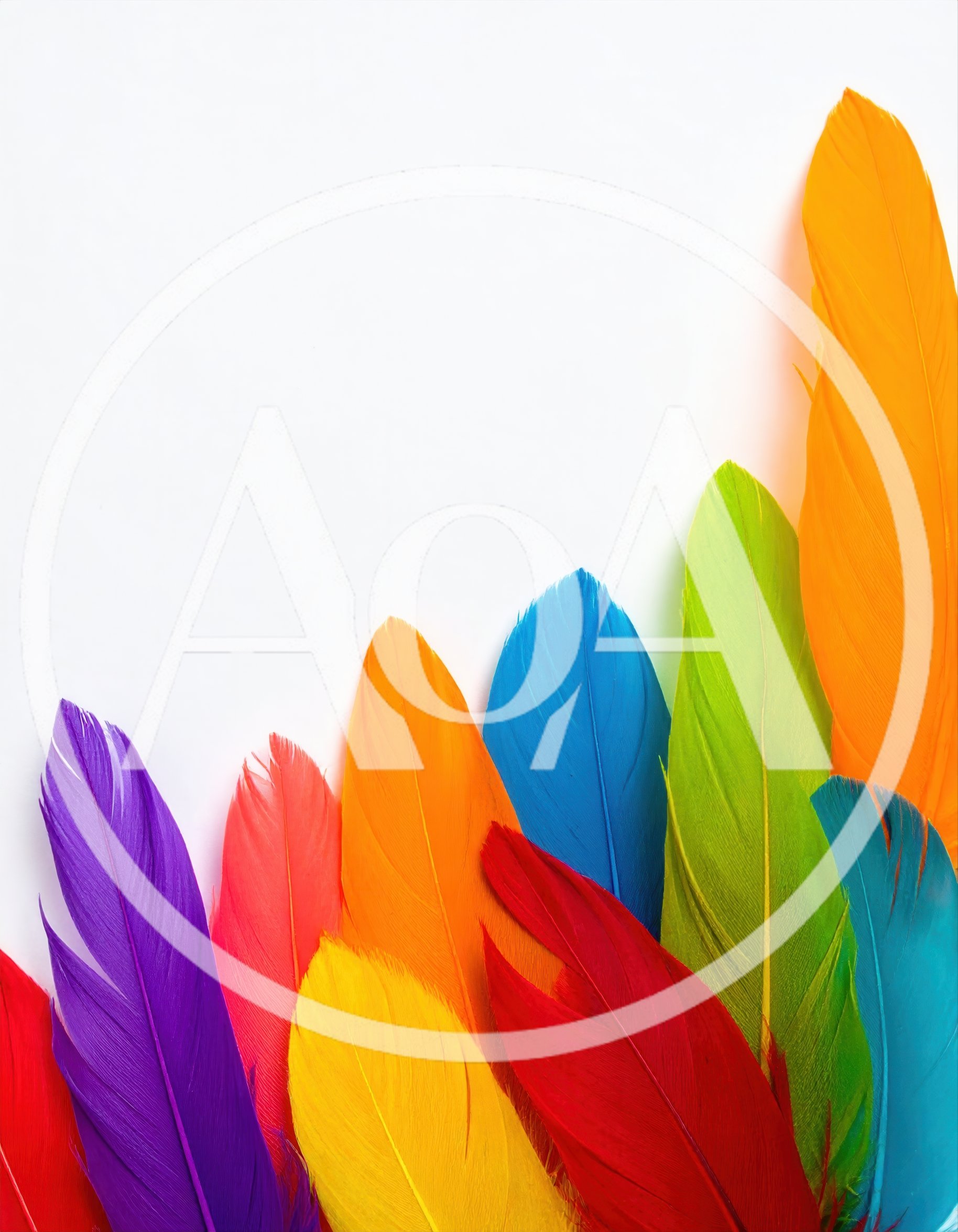 Vibrant Multi-Colored Feathers Arranged On White Background