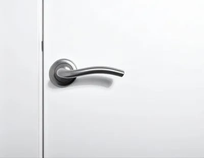 Modern Brushed Metal Door Handle On White Door
