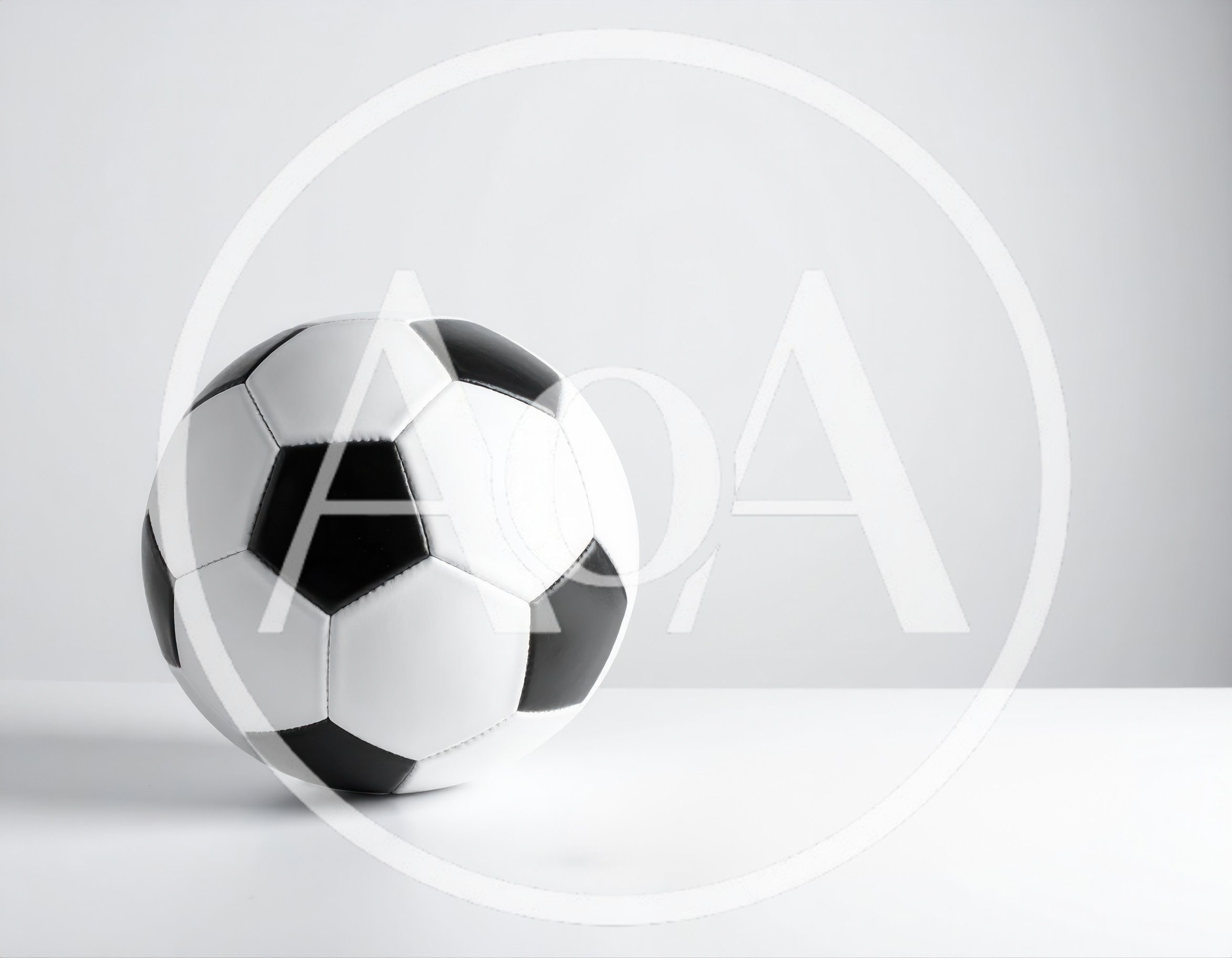 Classic Black and White Soccer Ball on White Background