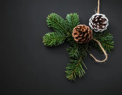 Christmas Pine Cones and Fir Branches on Black Background