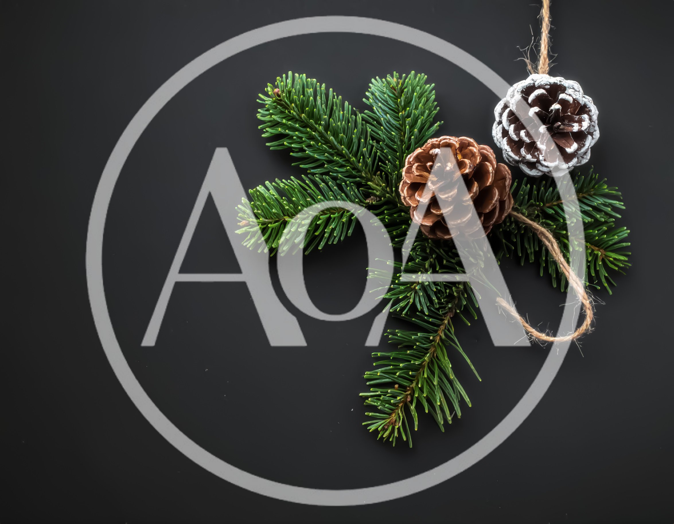 Christmas Pine Cones and Fir Branches on Black Background
