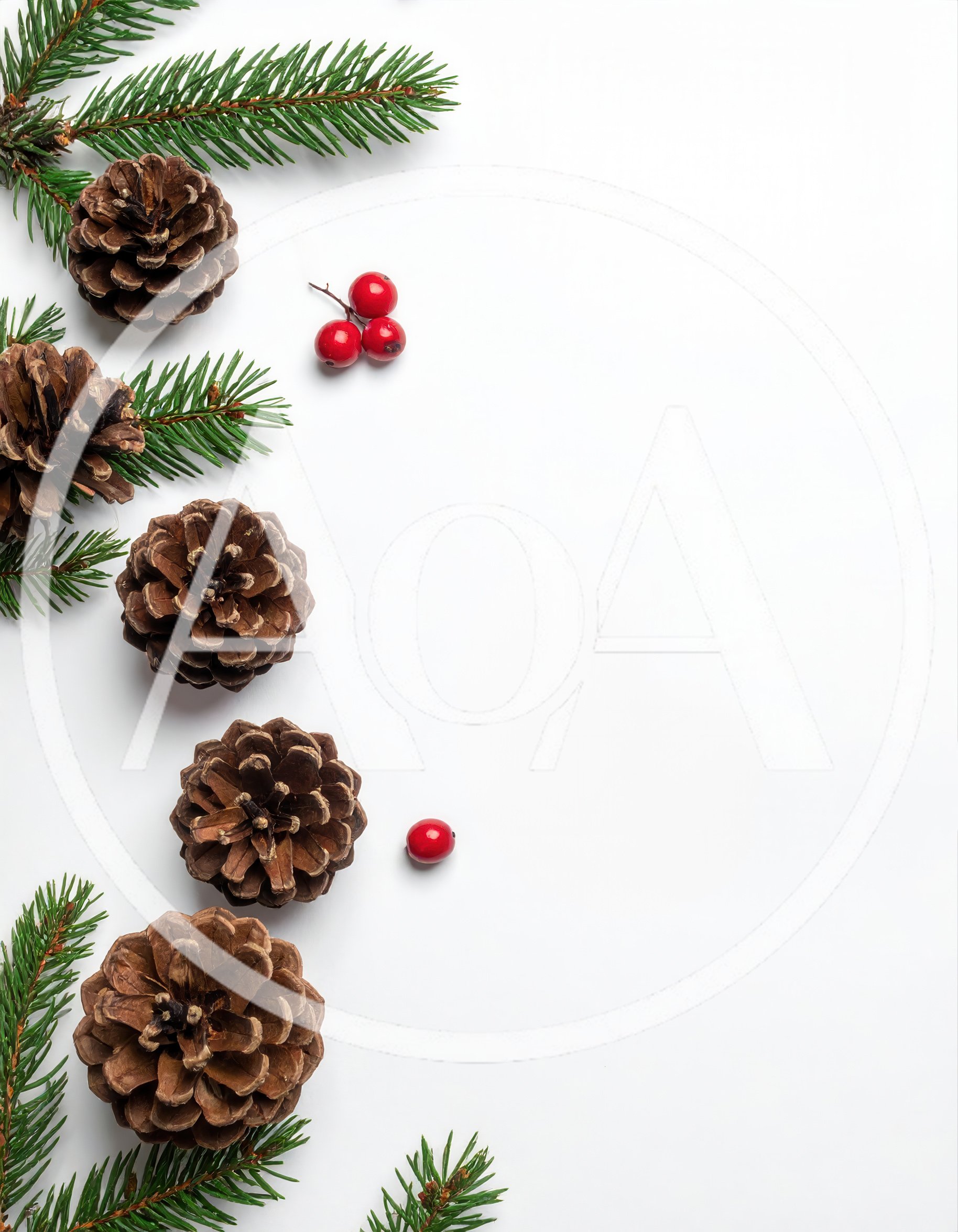 Christmas Pine Cones and Fir Branches on White Background