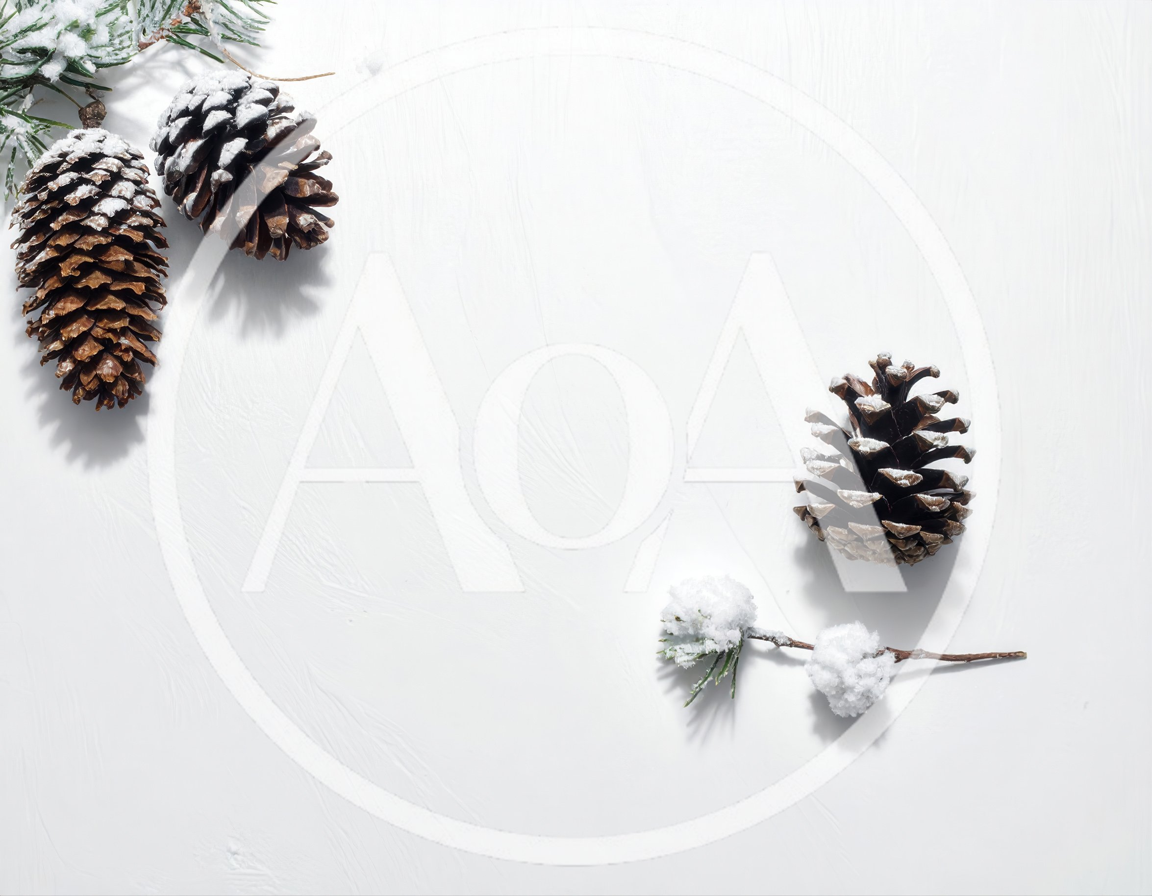 Snow Covered Pine Cones And Branches On White Background