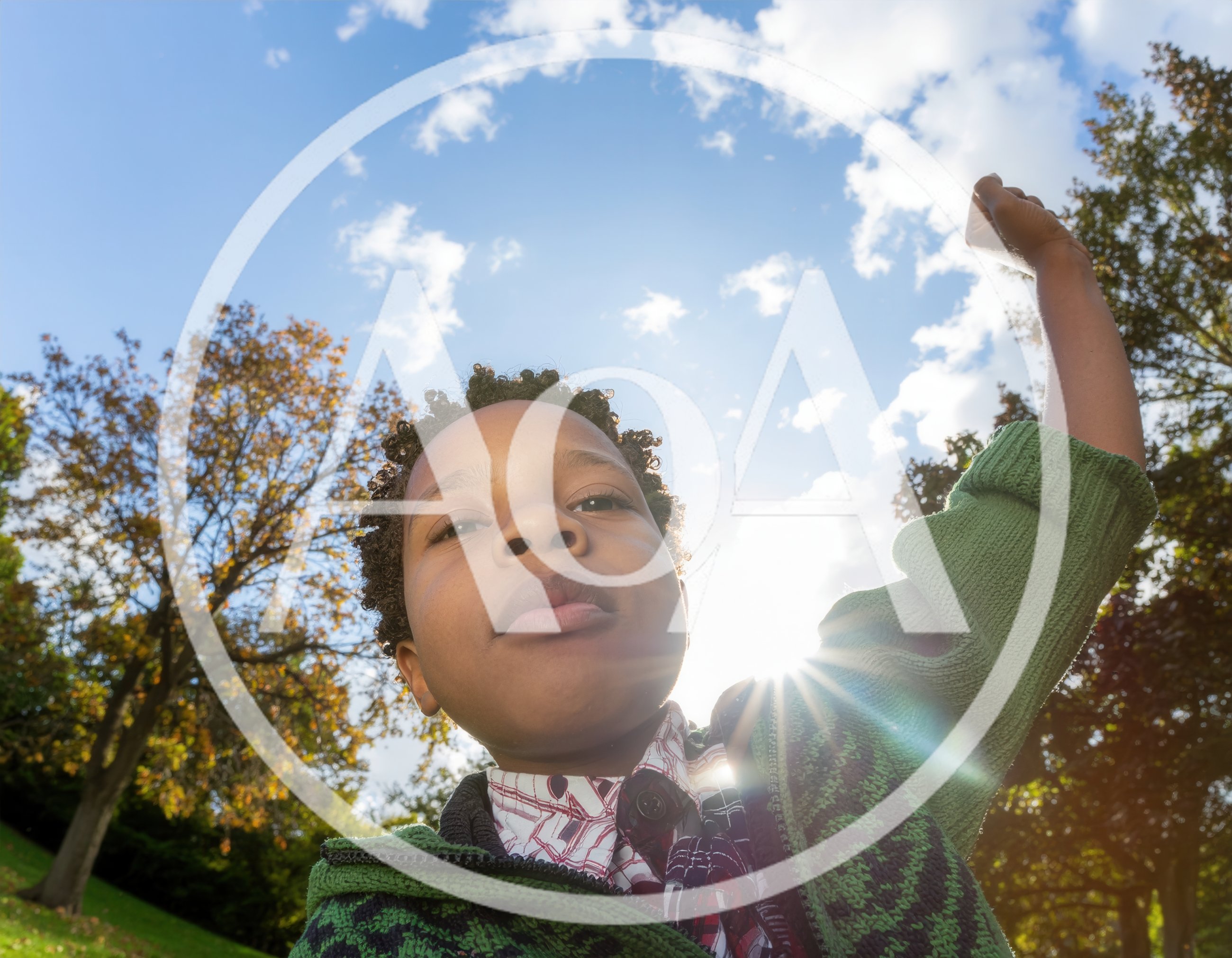 Young Boy Raising Fist In Celebration Outdoors