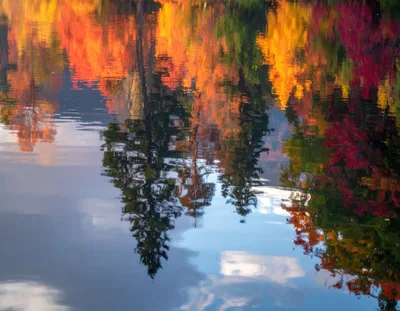 Vibrant Autumn Forest Reflection In Calm Lake Water