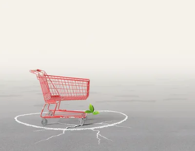 Red Shopping Cart Beside A Small Green Plant