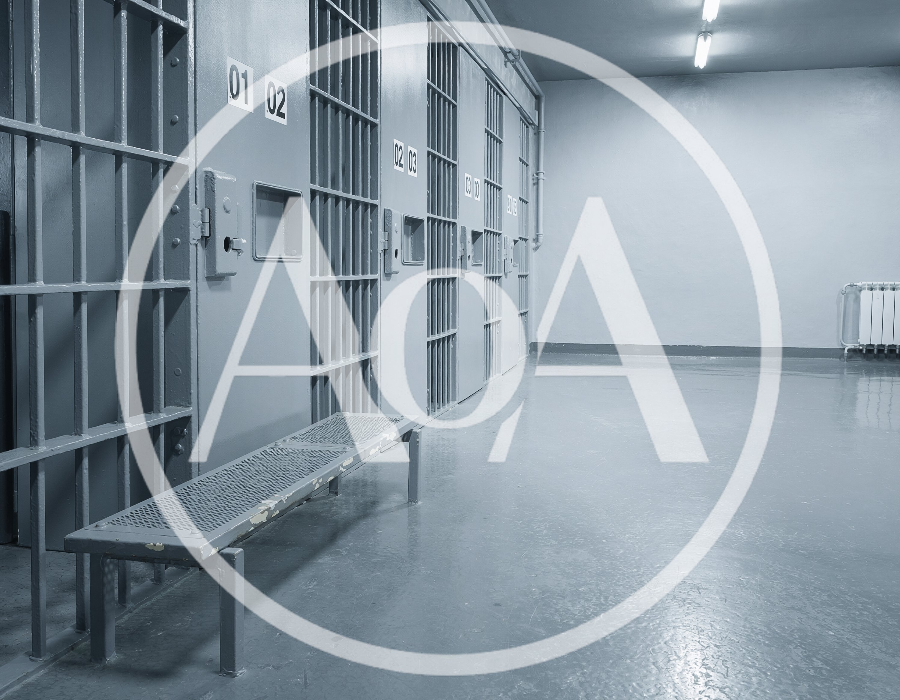 Empty Prison Corridor With Metal Cell Doors