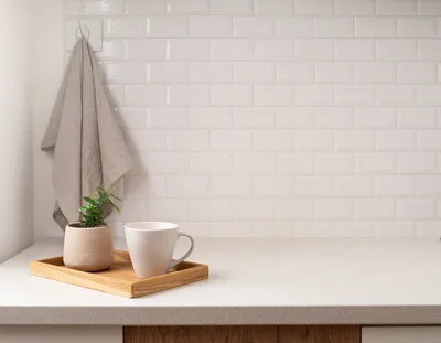 Minimalist Kitchen Countertop With Coffee Mug And Plant