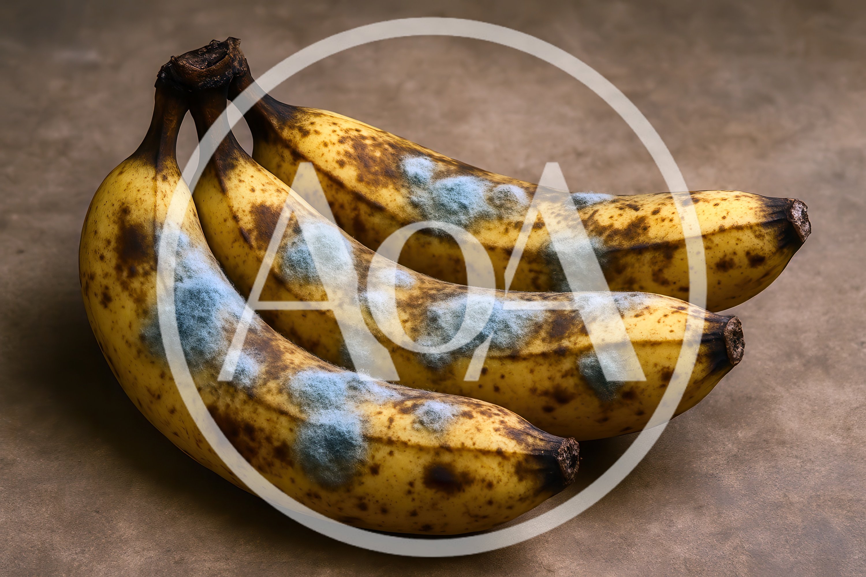 Three Overripe Bananas With Visible Mold Growth